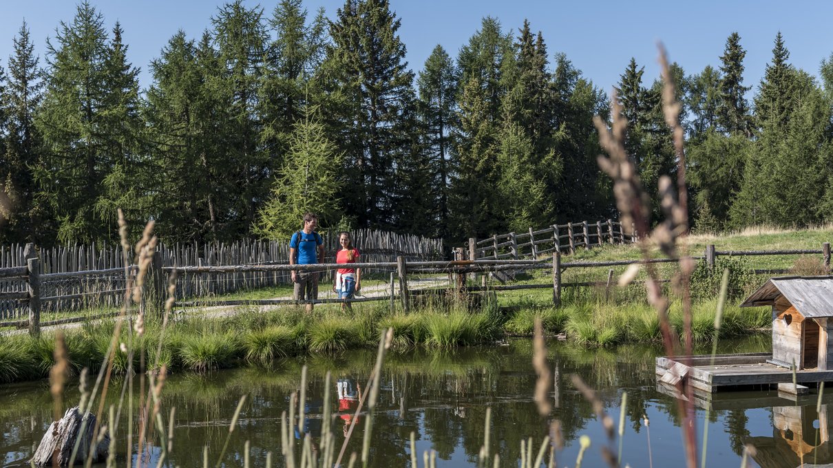 Deine Unterkunft im Pustertal: oh, wow! Paar geht an einem Teich mit Zaun und Bäumen im Hintergrund spazieren