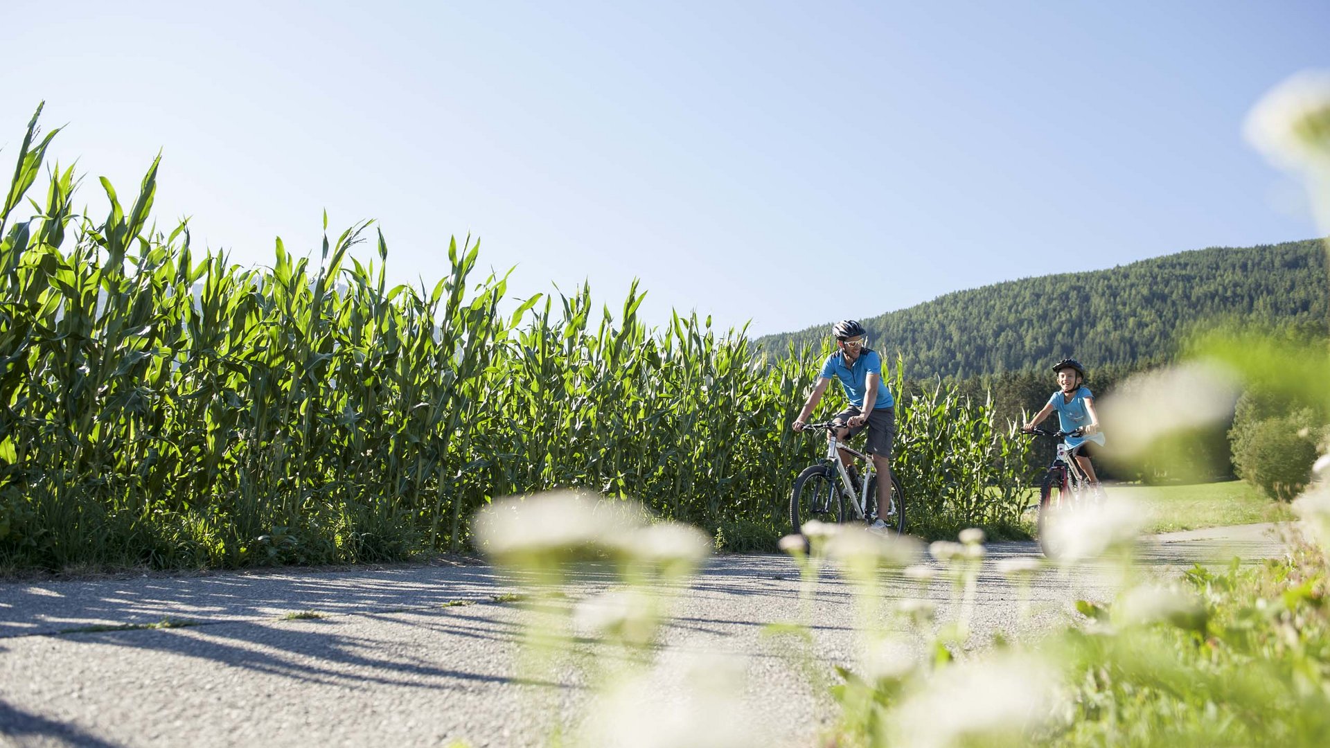 Olang in summer: sunny days at Olangerhof Two people cycling on a path beside a cornfield in sunny weather