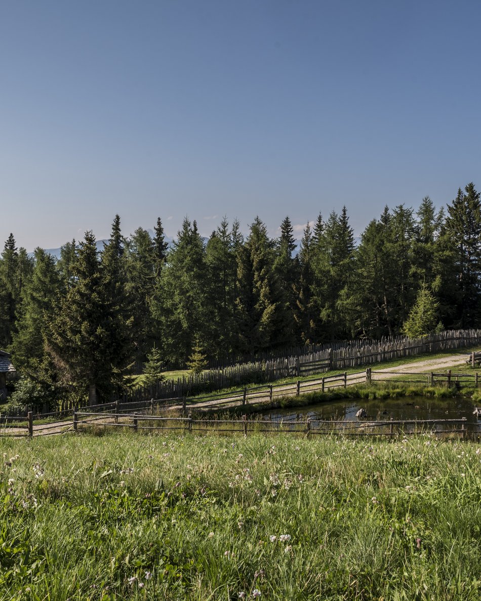 Escursioni a Valdaora nei pressi dell’Olangerhof Prato verde con laghetto, casetta di legno e tre persone che camminano vicino a una foresta