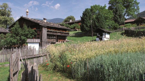 Olang: Wandern, Kunst und Kultur Altes Dorf mit Holzhäusern und Getreidefeldern