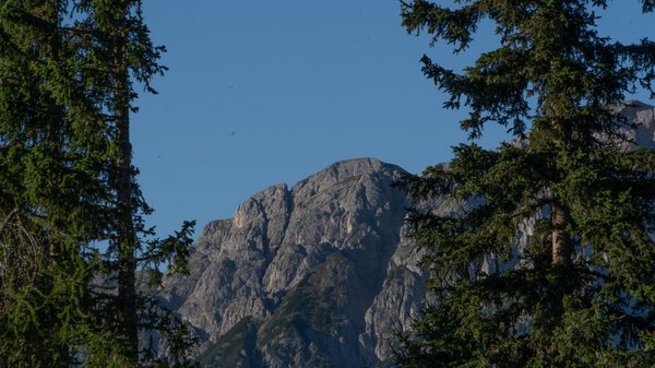 Dein Hotel in Olang: Willkommen im Olangerhof! Felsiger Berg durch grüne Bäume vor blauem Himmel