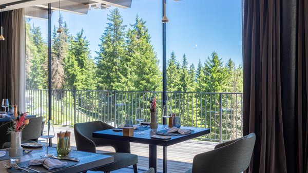 Dein Hotel in Olang: Willkommen im Olangerhof! Esstische nahe großen Fenstern mit Blick auf Kiefern draußen